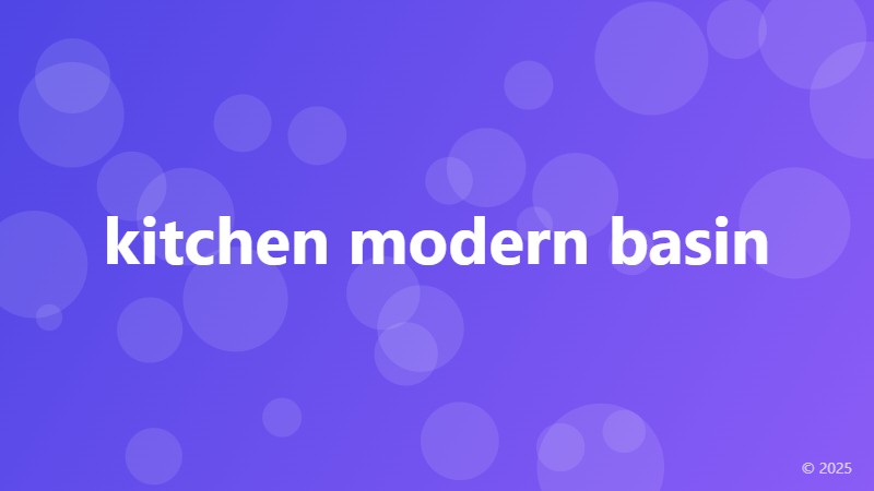 kitchen modern basin