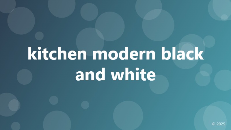 kitchen modern black and white
