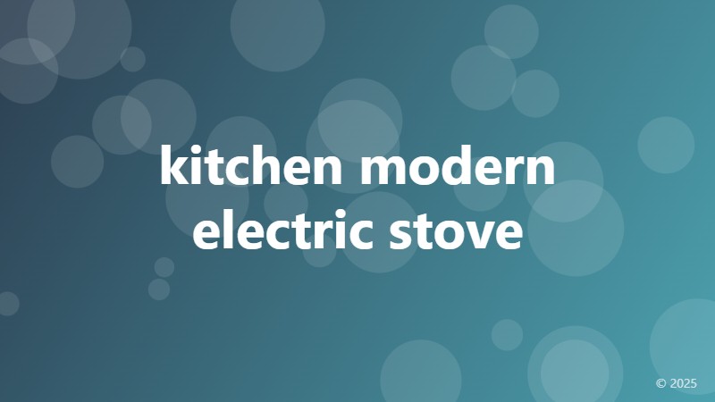 kitchen modern electric stove