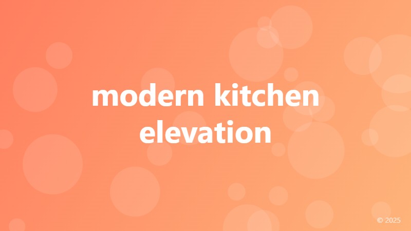 modern kitchen elevation
