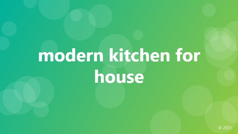 modern kitchen for house